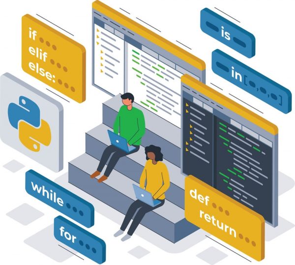 online python programming course