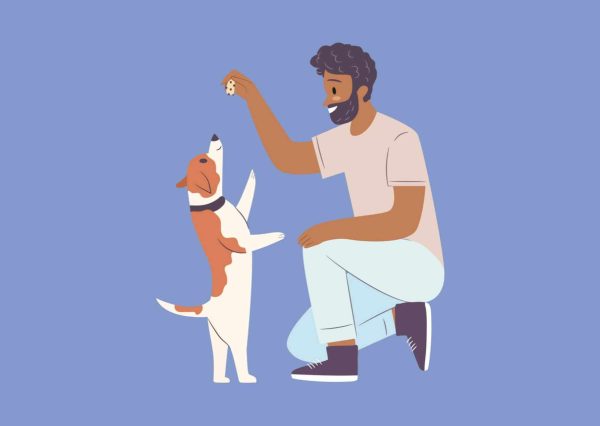 Paws and Possibilities: Canine Companionship Certification