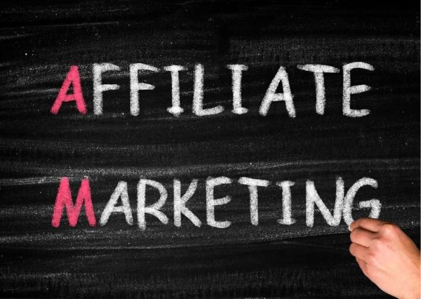 Affiliate Marketing, Wordpress Website Creation, and a Hosting System - Get a Leg Up
