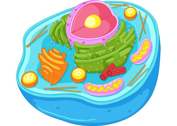 Biology - A Complete Guide