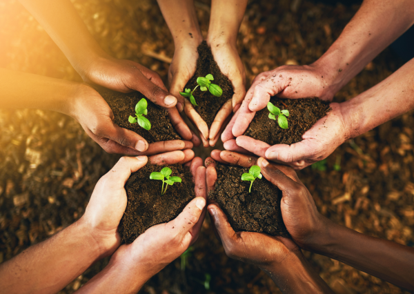 Gratitude Practice for a Better Life