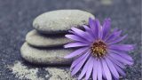 Nurturing the Roots of Patience