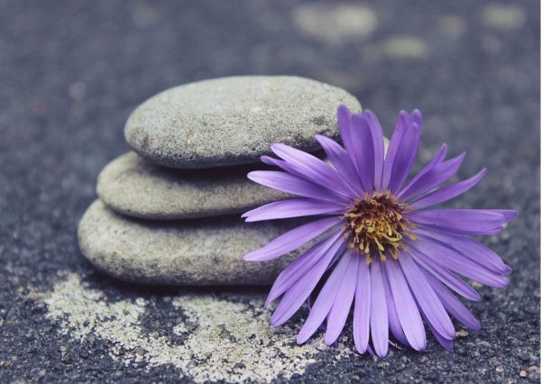 Nurturing the Roots of Patience