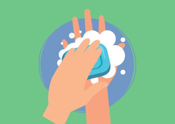 Online Soap Making Course