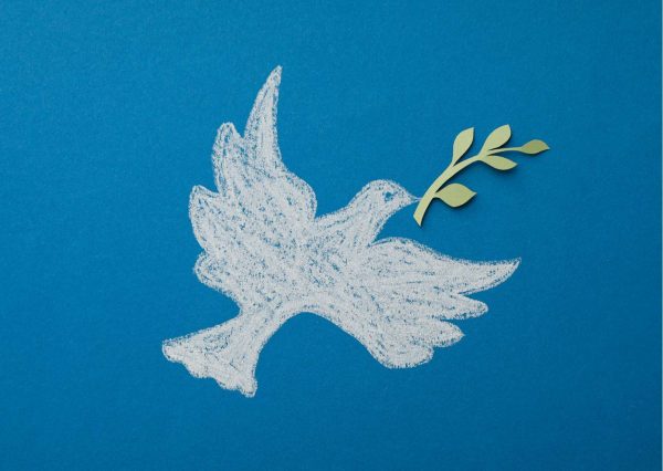 Taking the High Road with Peacefulness Training