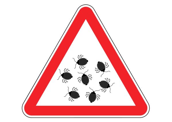 The Bed Bug Problem Online Course