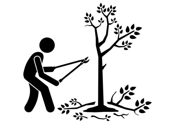 Tree Trimming Safety Online Training