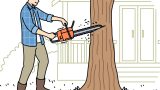Chainsaw Safety Training