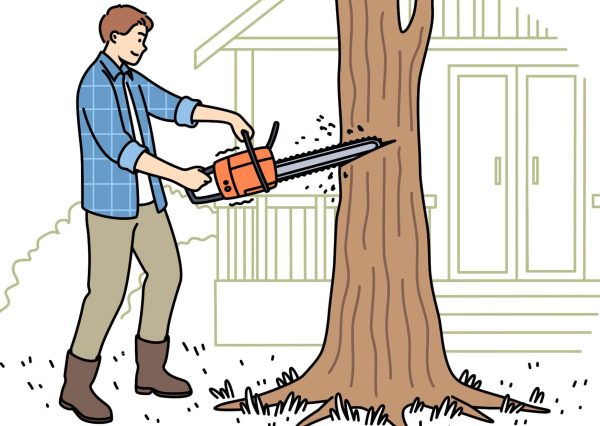 Chainsaw Safety Training