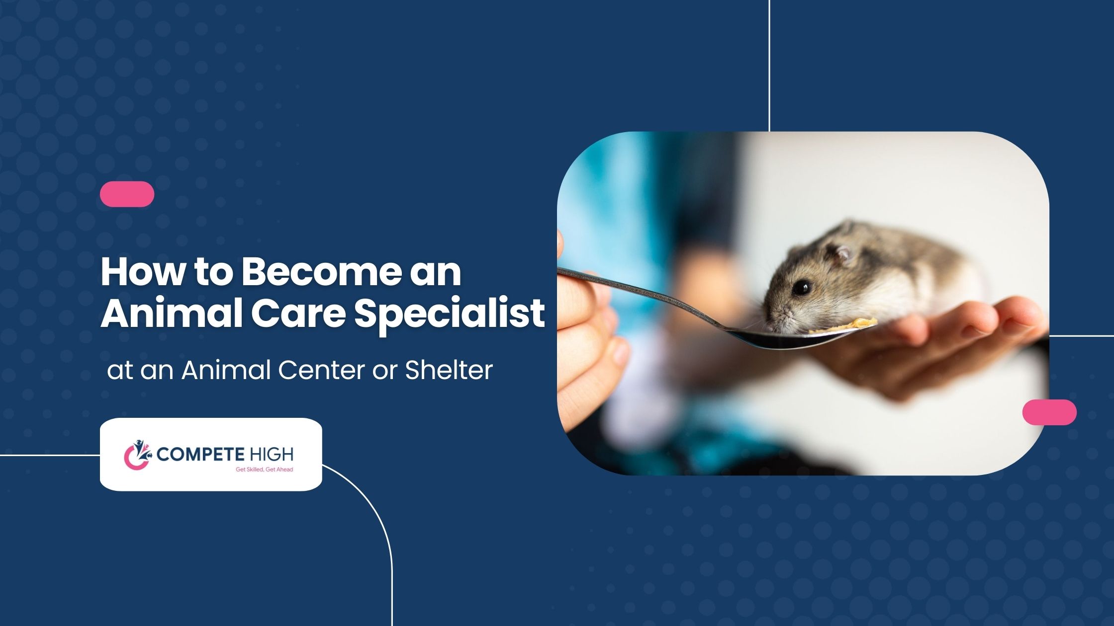 How to Become an Animal Care Specialist at an Animal Center or Shelter