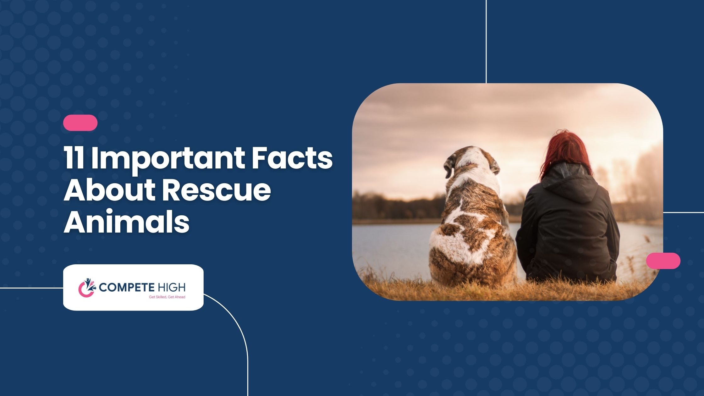 11 Important Facts About Rescue Animals