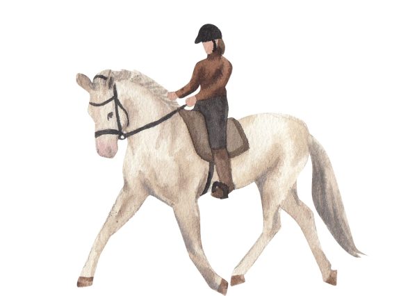 Horse riding: recreational, training, equestrian experiences
