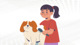 Dog Grooming Training Online