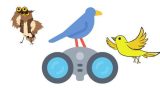 Bird Watching 101 Training