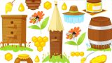 Fundamentals of Beekeeping