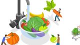 Food Hygiene and Safety