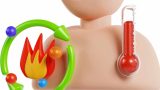Metabolic Mastery