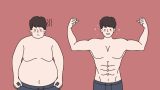 Optimal Body Transformation