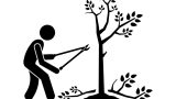 Tree Trimming Safety