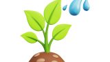 Water and Sewer Treatment Plant Safety