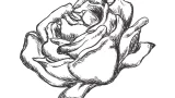 Sketch to Final Art