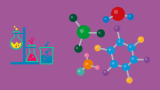 Molecular Biology: From Cells to Systems