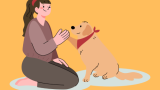 Puppy Training