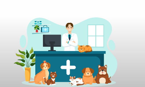 Animal First Aid