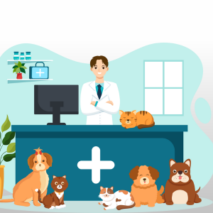 Animal First Aid