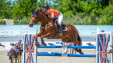 Horse Riding: Recreation, Training & Equestrian Experiences