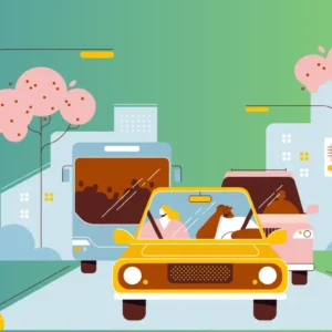 traffic management training​
